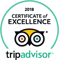 Trip Advisor Excellence Award